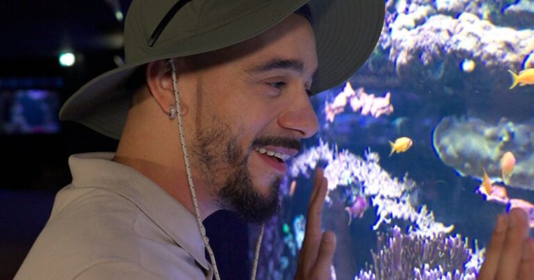 Expo, com&eacute;die musicale et m&ecirc;me aquarium : on sort o&ugrave; ce mois-ci ?