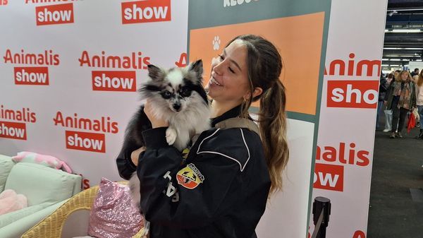 Compléments alimentaires, traceur GPS, hôtel pour chiens… Les Français dépensent de plus en plus pour le bien-être de leurs animaux de compagnie