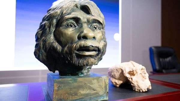 L'homme moderne est plus vieux qu'on le pensait : un crâne vieux d'un million d'année repousse les origines d'Homo sapiens