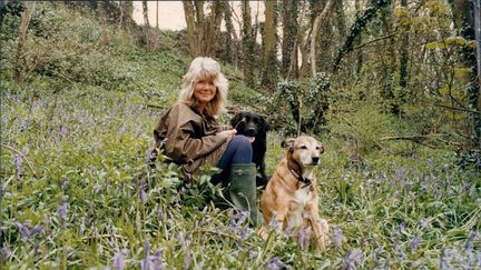 L'écrivaine britannique Jilly Cooper, reine de la romance épicée, est morte à 88 ans