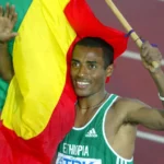 2026 : Les tendances incontournables pour réussir son année en Afrique francophone et diaspora