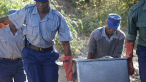 Coupe du Monde 2026 : Comment les nouveaux quotas de visas boostent les rêves des jeunes Africains
