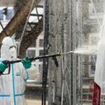 Visite historique du Pape Léon en Afrique : quatre pays au cœur de cette tournée exceptionnelle en avril 2026