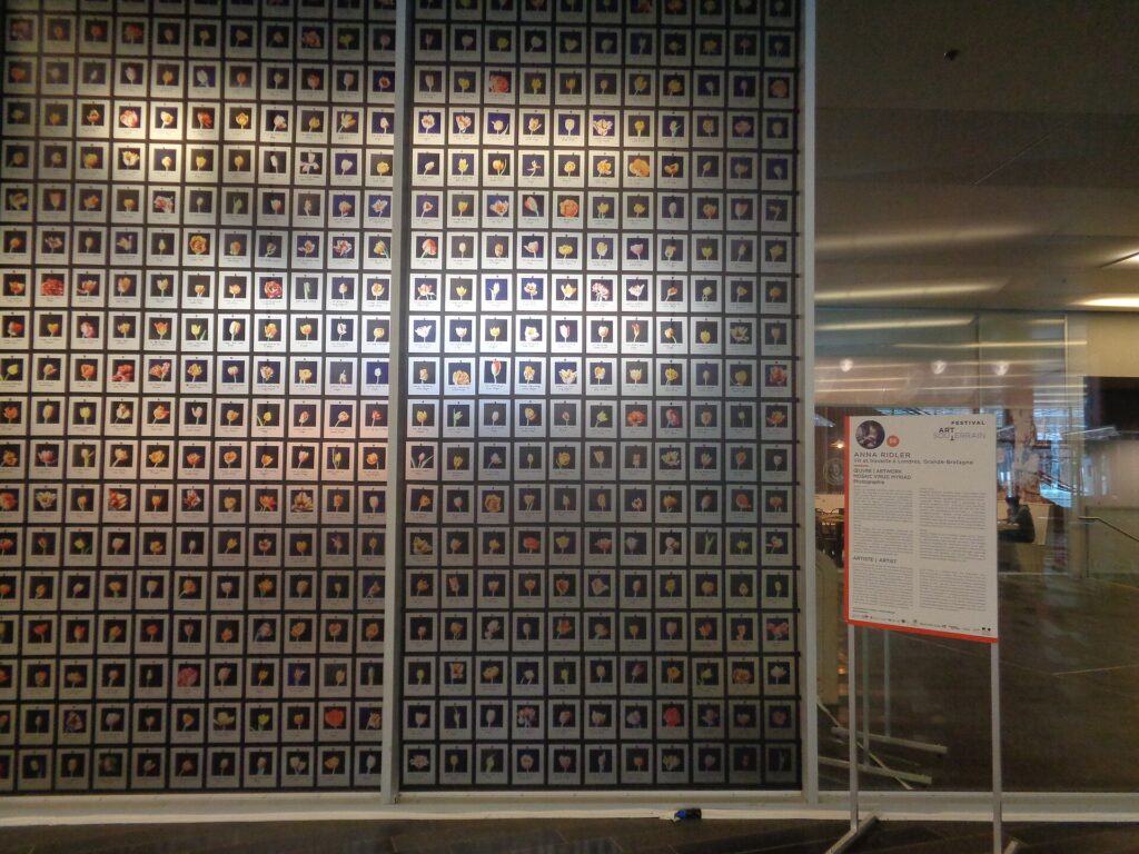 Suisse 2026 : investir en crypto-monnaies, quelles conditions, coûts et erreurs à éviter ?