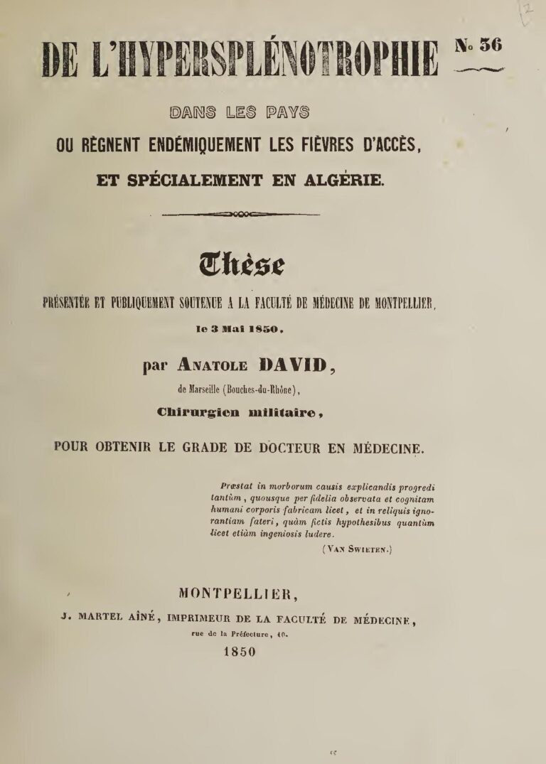 Algérie : pourquoi le travail en ligne suscite autant d’intérêt et ce que cela change vraiment