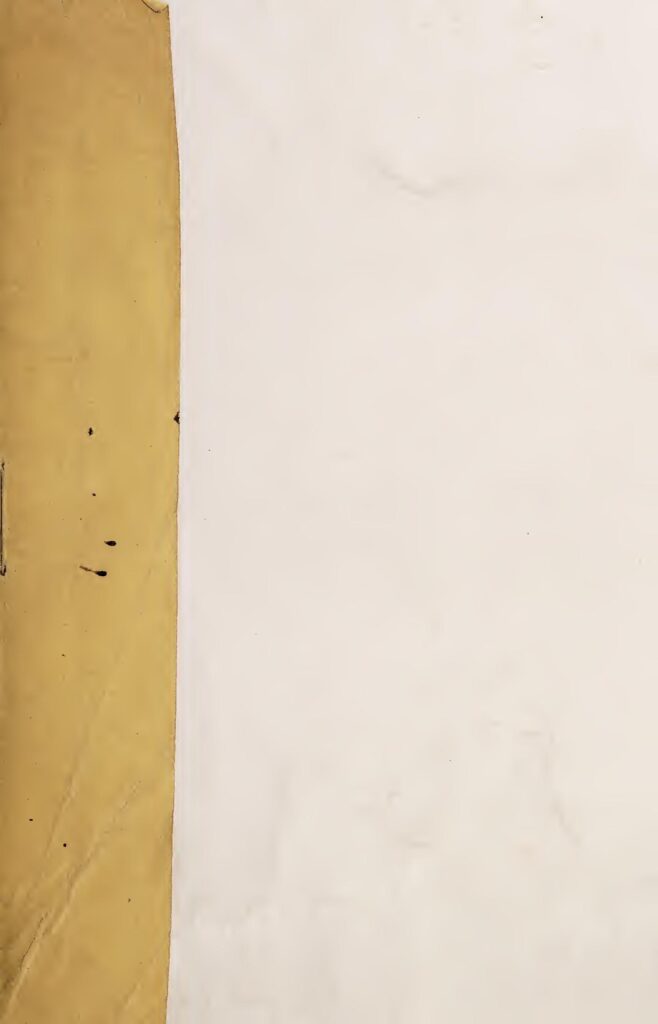 Afrique du Sud : Comprendre les traditions, l’histoire et le phénomène Barça