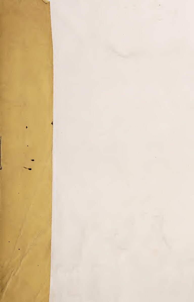 Afrique du Sud : Comprendre les traditions, l’histoire et le phénomène Barça