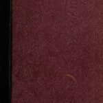 Léon : Démêler le vrai du faux autour des dernières révélations