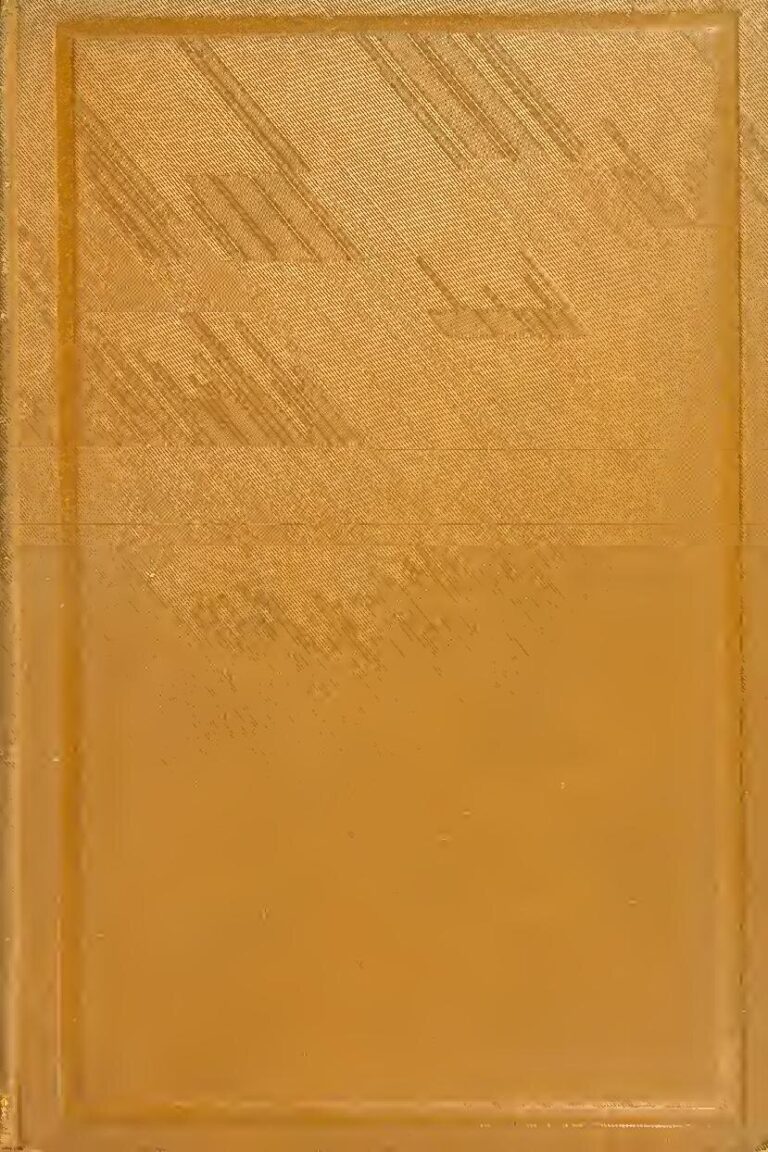 WhatsApp : guide pratique pour bien démarrer et maîtriser l’application