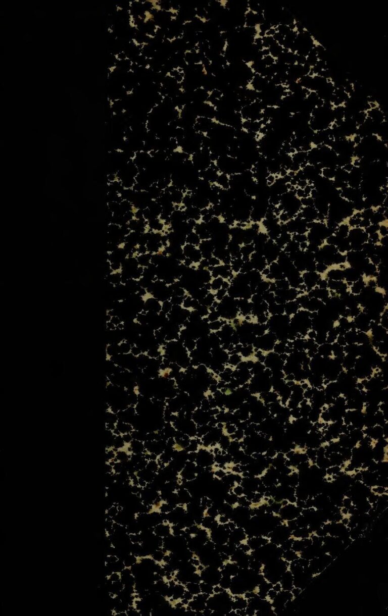 Crypto : état des lieux en 2024 et ce qu’il faut vraiment savoir