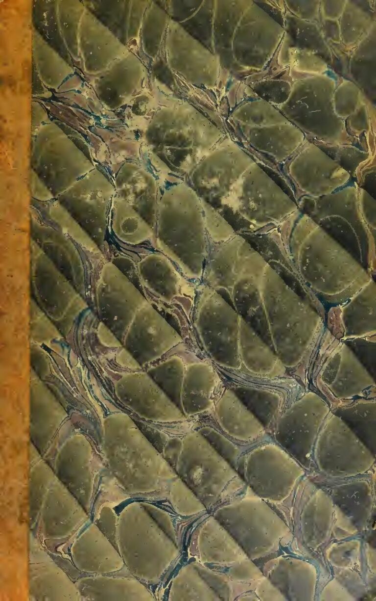 Mali : pourquoi les nouvelles taxes font autant parler et ce que cela change concrètement